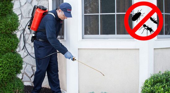 Kurtalan Böcek İlaçlama böcek ilaçlama ve haşere kontrolü — ilaclama-tr.com